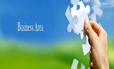 Areas of Business